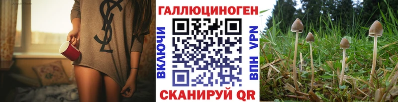 Галлюциногенные грибы Cubensis  даркнет сайт  Белёв 